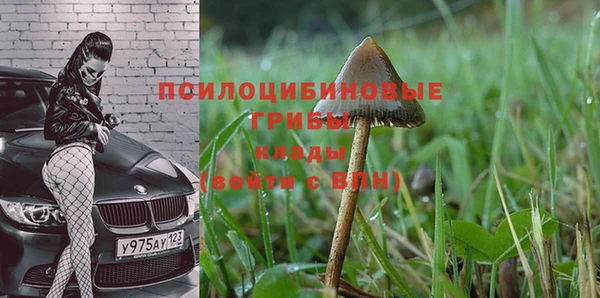 apvp Арсеньев