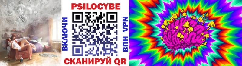 Галлюциногенные грибы Psilocybe  купить наркотики сайты  darknet Telegram  Медынь 